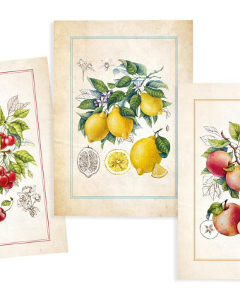 Torchon 50x70cm - Fruits Cerises - Mercerine