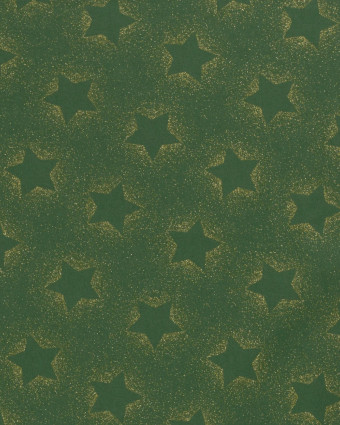 Tissu Coton de Noël Vert Motif Etoile - Oeko-Tex - Mercerine