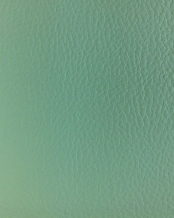 Tissus simili cuir vert riviera - Zoom 10 cm - Mercerine.com