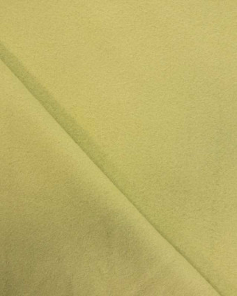  Polaire coton vert Lola Oekotex x10cm -  Mercerine