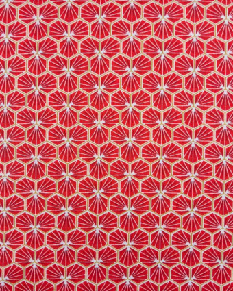 Coton imprimé Riad rouge grenadin x10cm