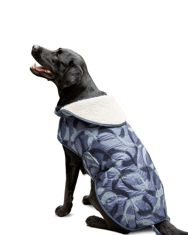 Patron pour chien - Manteau - Burda 6049