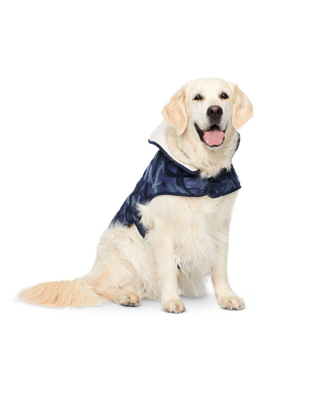 Patron pour chien - Manteau - Burda 6049