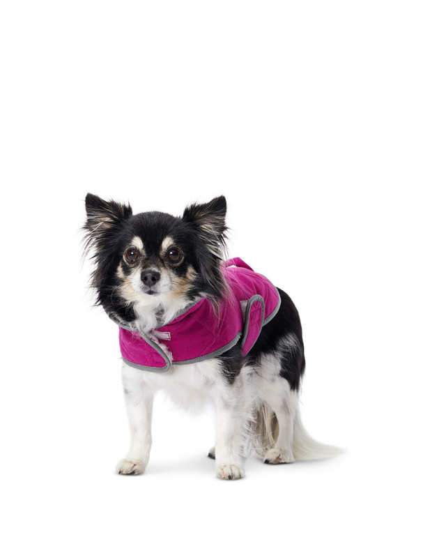 Patron pour chien - Manteau - Burda 6049