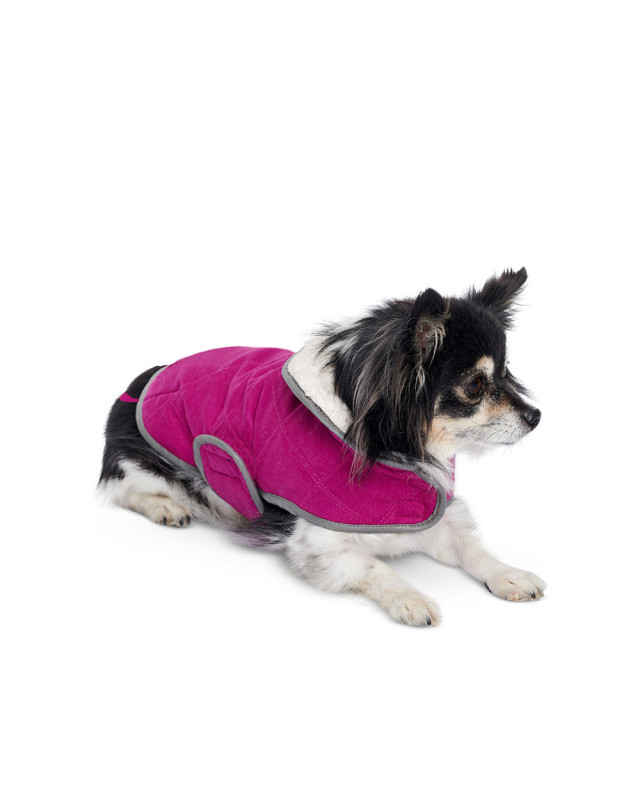 Patron pour chien - Manteau - Burda 6049